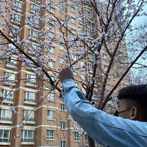 无码免费婬AV片在线观看
